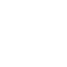 UGT